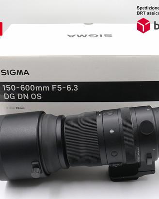 Sigma 150-600 F5-6.3 APO DG OS (Sony)