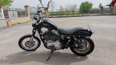 Harley Davidson XL 883 sportster