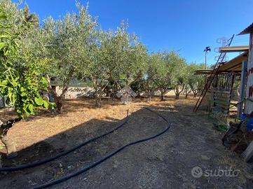 TER. AGRICOLO A CAPOTERRA