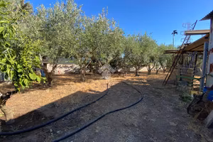 TER. AGRICOLO A CAPOTERRA