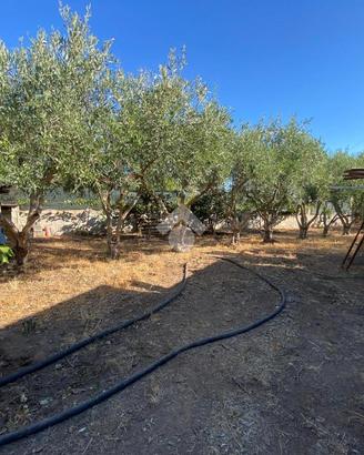 TER. AGRICOLO A CAPOTERRA