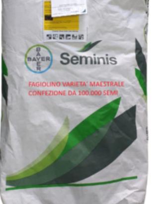seme faggiolini 