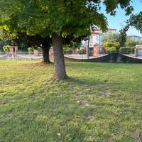 Giardinaggio e servizi