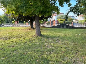 Giardinaggio e servizi