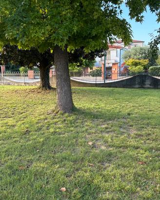 Giardinaggio e servizi