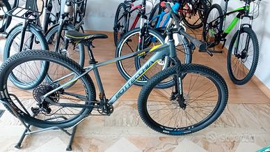 MTB BOTTECCHIA 29 NUOVA