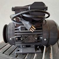 MOTORE ELETTRICO  230 V   / 0,75 KW CON PULEGGIA