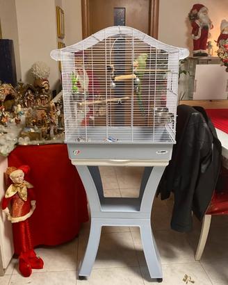 Gabbia per Pappagalli