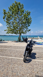 Benelli leoncino