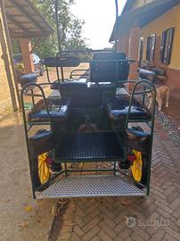 Carrozza per Cavallo