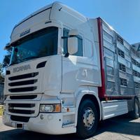 Scania R450 2013 Euro 6 Trasporto Animali Vivi
