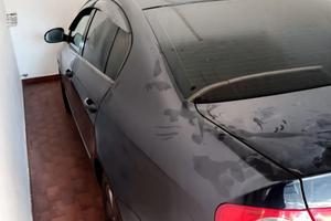 passat berlina
