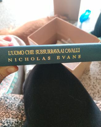 L'uomo che sussurra i cavalli 