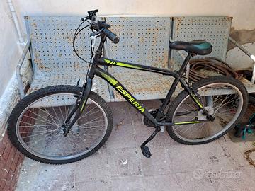 Bicicletta Esperia 27.5