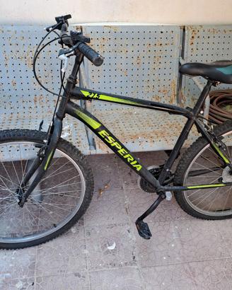 Bicicletta Esperia 27.5