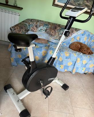 Cyclette professionale