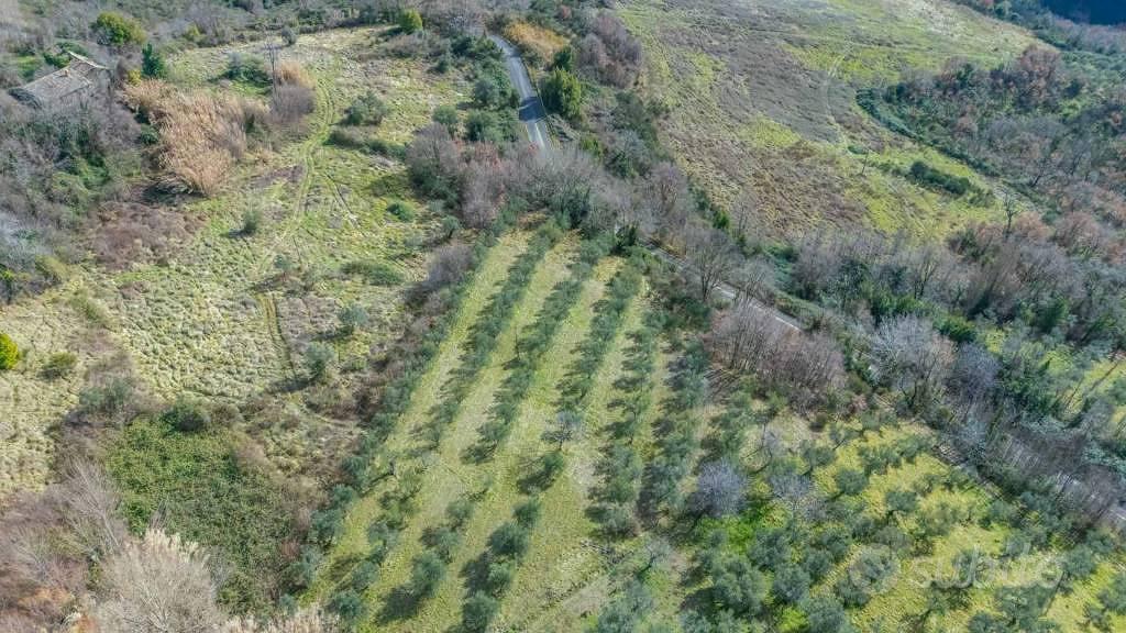 Terreno di 5630 m² a Montenero Sabino - Vista 3
