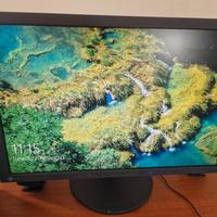 Monitor Eizo