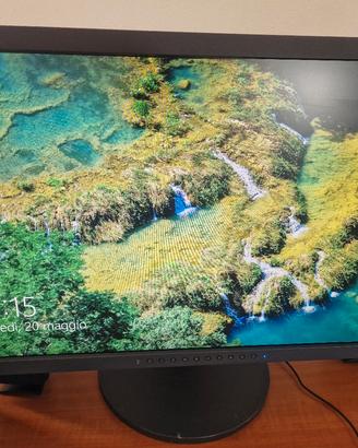 Monitor Eizo