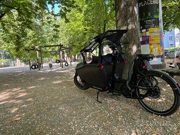 Urban Arrow Family Bosch Cargo Line