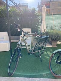 Bici elettrica