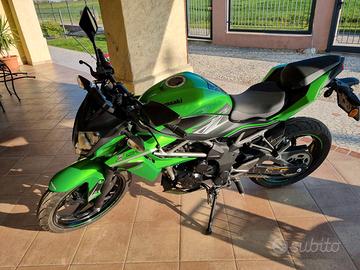 Kawasaki Z 125 - BR125K