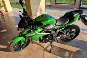 Kawasaki Z 125 - BR125K