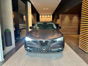 Alfa Romeo Stelvio 2.2 Turbodiesel 190 CV AT8 RWD 