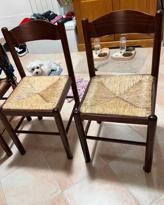 5 sedie legno massello