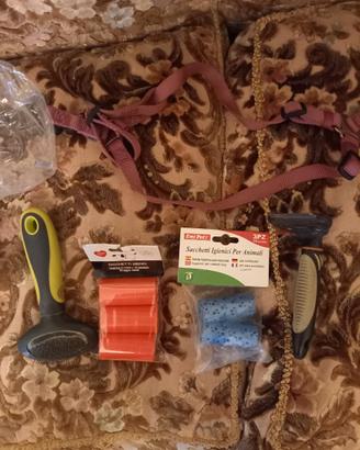 attrezzi per toelettatura e igiene cani e gatti