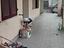 Immagine 14