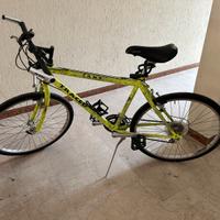 mountain bike uomo