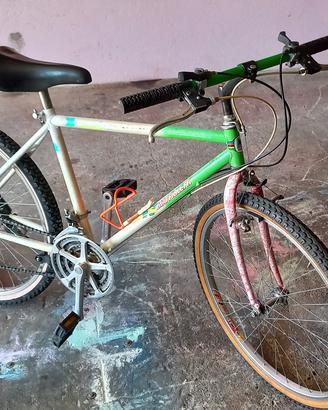 Mountain Bike