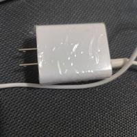 Due adattatori presa americana a europea + caricat