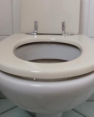 Due sanitari Ideal standard 