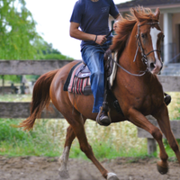 Super Cavalla per tutti trekking gimkane