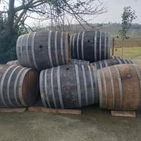 Botti in legno (tonneaux )