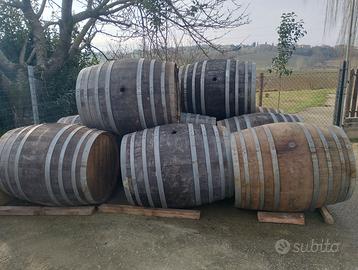 Botti in legno (tonneaux )