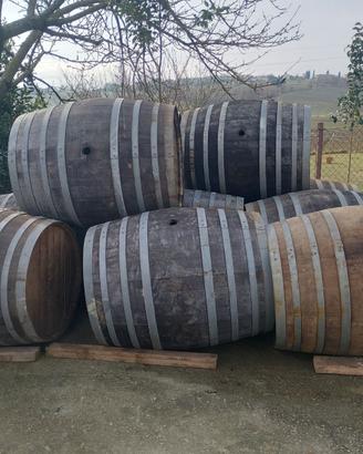 Botti in legno (tonneaux )