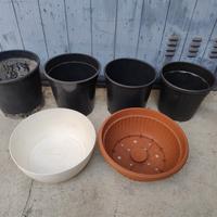 2 Vasi ciotola bassi e 4 alti