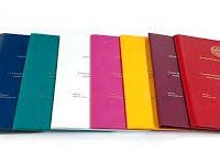 Servizi Accademici per Tesi, Master ed Elaborati