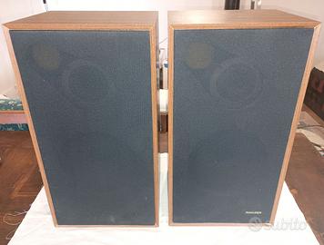 Pioneer CS-313 A casse