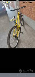 bici MTB legnano 29