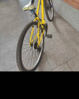 bici MTB legnano 29