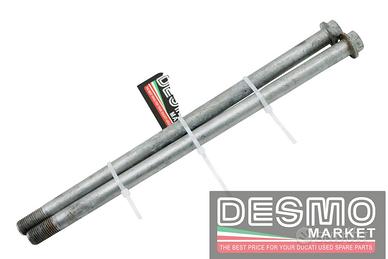 Perni motore Ducati Monster 620 695 800 1000