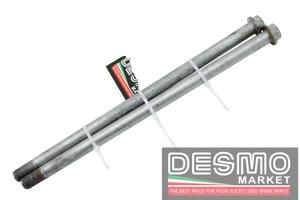 Perni motore Ducati Monster 620 695 800 1000