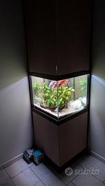 Acquario