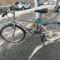 Bicicletta 24 + antifurto