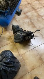 Blocco motore Cagita Aletta Oro S2