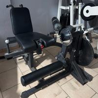 Leg extension e leg curl